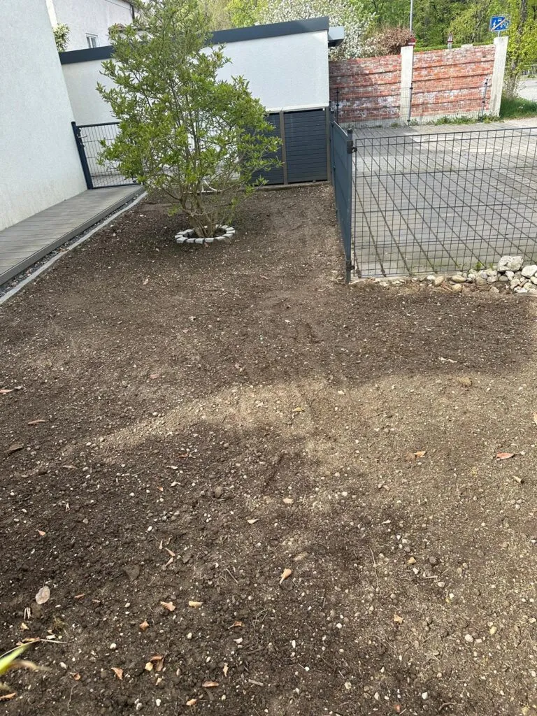 Baumpflege und Rückschnitt im Garten
